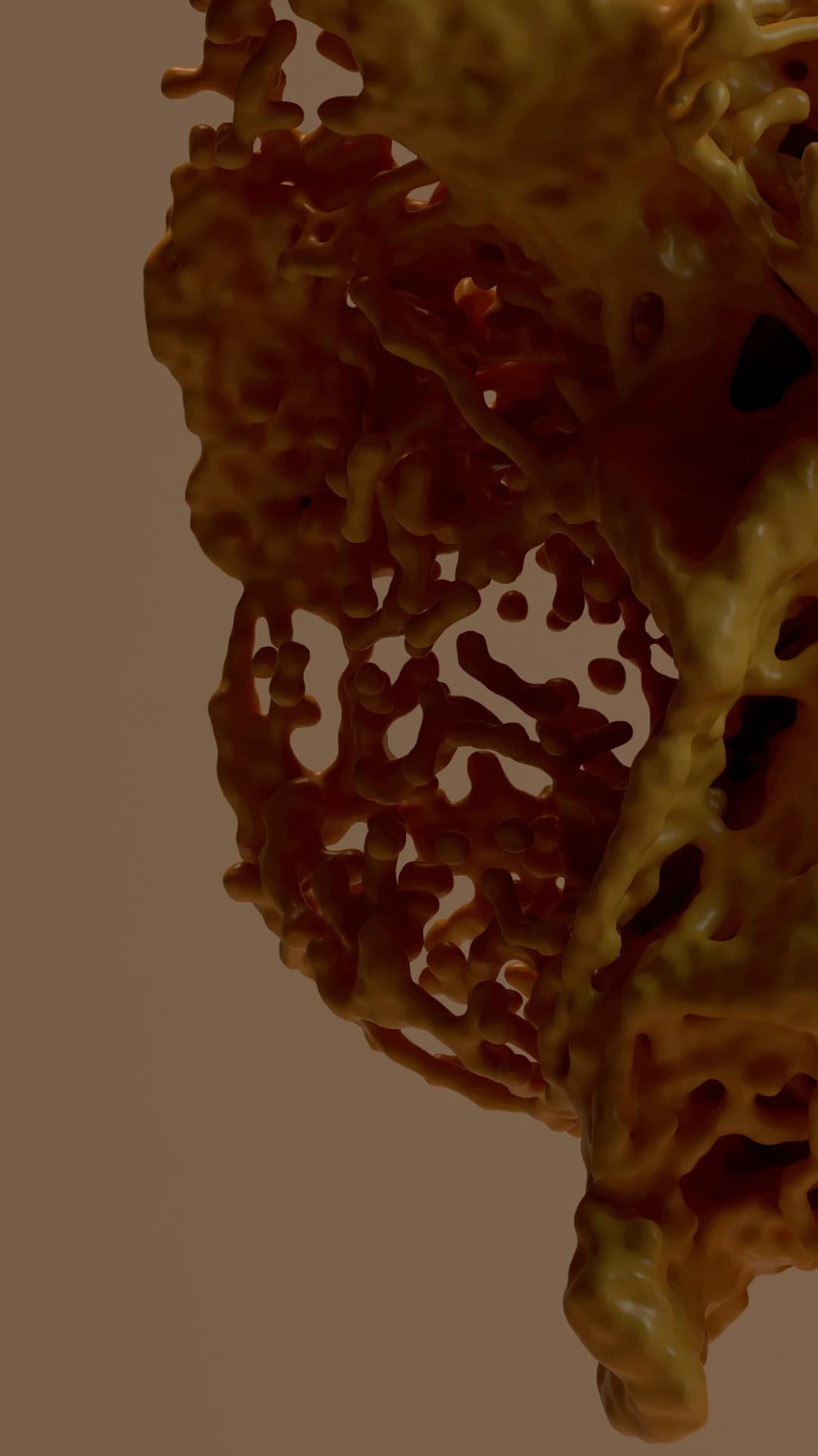 Fluid Type — detalle 09