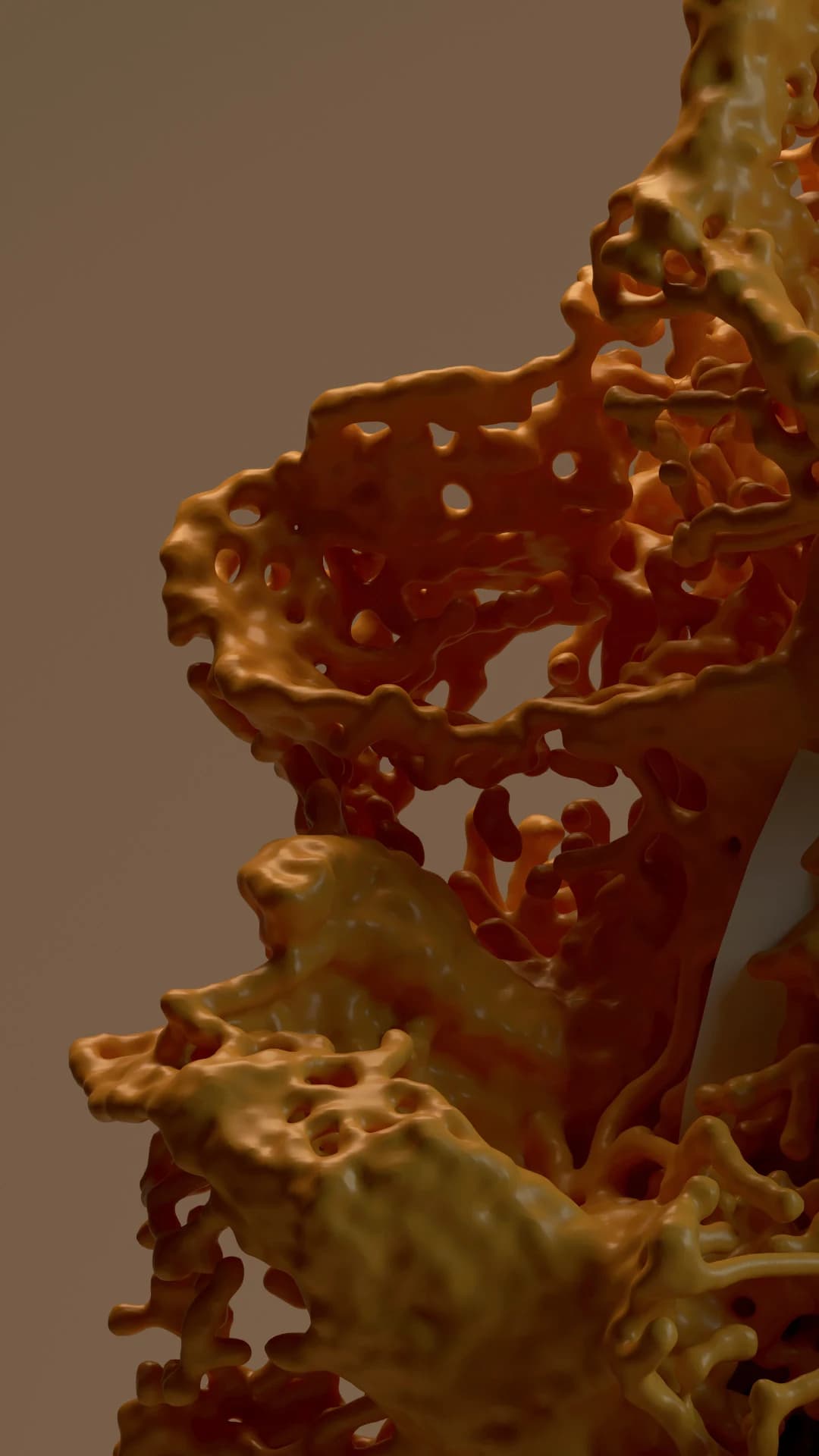 Fluid Type — detalle 10