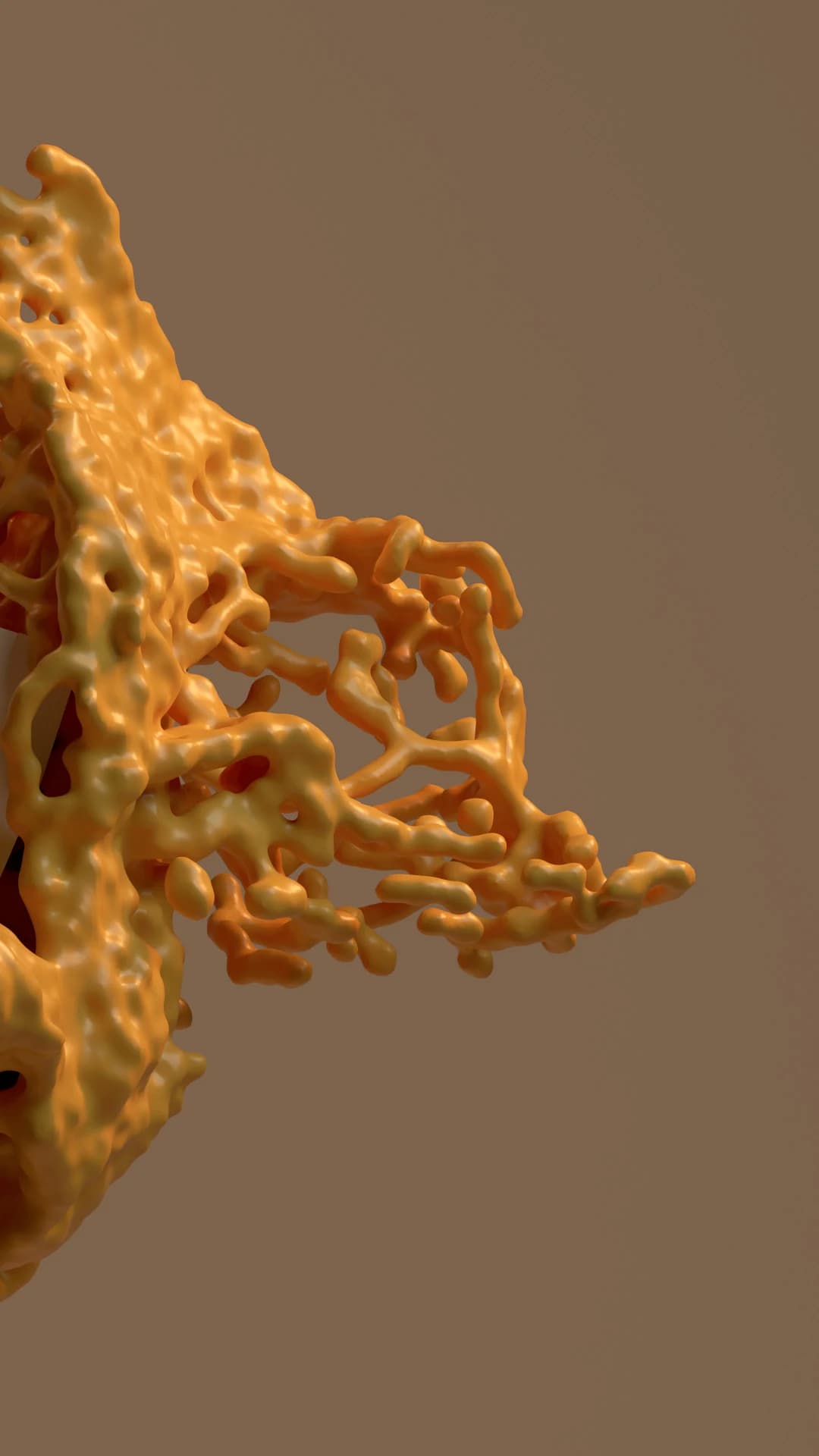 Fluid Type — detalle 13